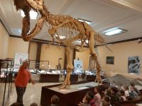 Super te dinozaury!
