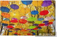 parasol