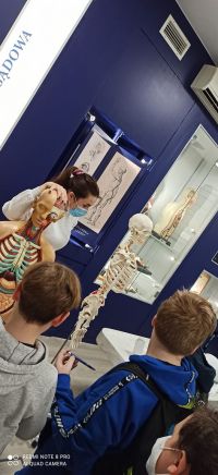 Zajcia w Teatrze Anatomicznym_3