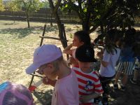 IMG_20220520_101320