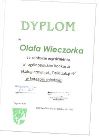 Dyplom Olaf Wieczorek 001