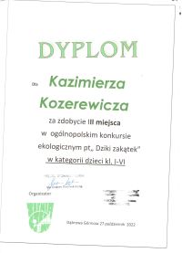 Dyplom Kazimierz Kozerewicz 001