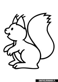 wiewiórka