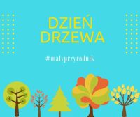 dzień-drzewaobrazek