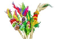 paspalmen