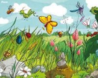 images (1)