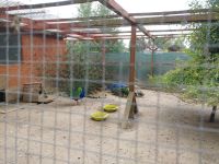 zdjęcie 320250623_094547