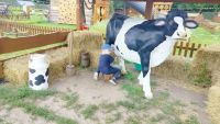 farma