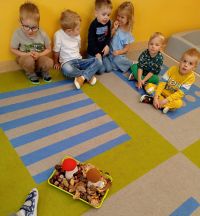 f8243555-e040-4c11-8443-04d481057a18