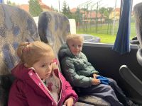 195ffde7-595c-4753-b8fa-1149ba758469