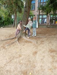 6acfd44f-ccb5-4901-85e9-ffece0df1e38