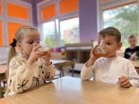 fcfa5594-de07-4242-8773-421c0e2ef51b