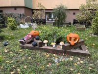 8bf18911-1f6e-401f-9f92-9f1dc8a9b9f6