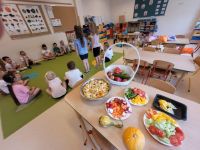 b7c4a7a6-4ff6-43e2-b6d7-670570f47fc5