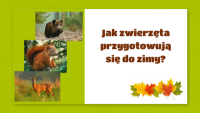 Jak zwierzęta przygotowyją się do zimy obrazek
