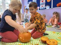 785ab344-4e42-4adf-8b07-6490fc092638