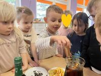 ff99f035-f5eb-4567-b3b4-83c32c4b6bc6