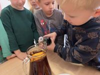 4c1af087-e414-45f4-8a0b-e4d69745c3a3