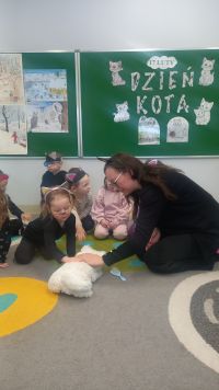 dzień kota