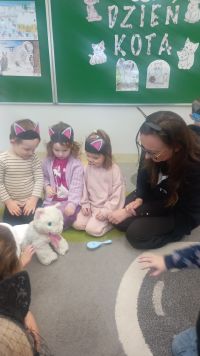 dzień kota