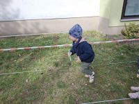 Zdj
